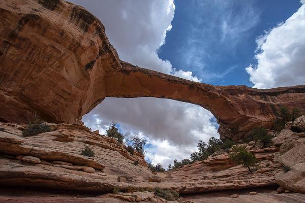 Foundations Germany Stiftungen